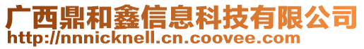 廣西鼎和鑫信息科技有限公司