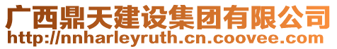 廣西鼎天建設集團有限公司