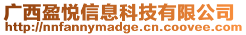 廣西盈悅信息科技有限公司