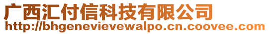 廣西匯付信科技有限公司
