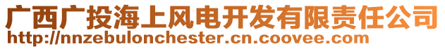 廣西廣投海上風(fēng)電開發(fā)有限責(zé)任公司