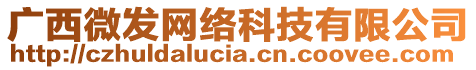 廣西微發網絡科技有限公司