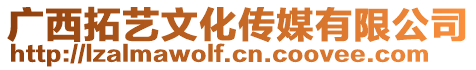 廣西拓藝文化傳媒有限公司