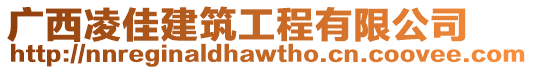 廣西凌佳建筑工程有限公司