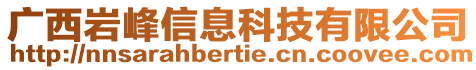 廣西巖峰信息科技有限公司