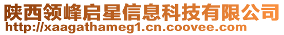 陜西領(lǐng)峰啟星信息科技有限公司