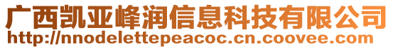 廣西凱亞峰潤信息科技有限公司