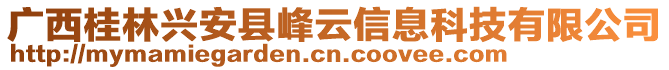 廣西桂林興安縣峰云信息科技有限公司