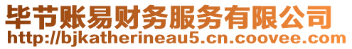 畢節賬易財務服務有限公司