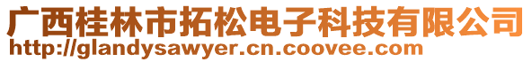 廣西桂林市拓松電子科技有限公司