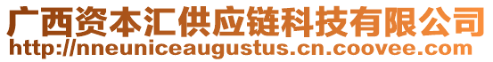 廣西資本匯供應(yīng)鏈科技有限公司