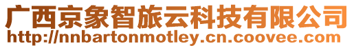 廣西京象智旅云科技有限公司