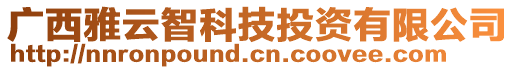 廣西雅云智科技投資有限公司