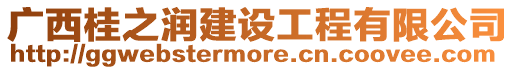 廣西桂之潤建設工程有限公司