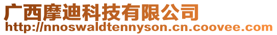 廣西摩迪科技有限公司