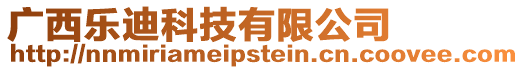 廣西樂迪科技有限公司