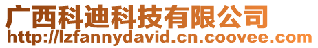 廣西科迪科技有限公司