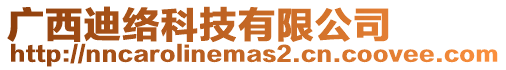 廣西迪絡科技有限公司