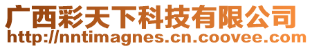 廣西彩天下科技有限公司