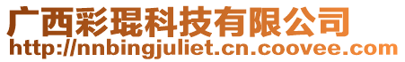 廣西彩琨科技有限公司