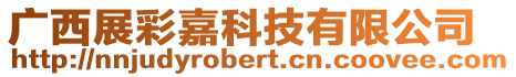 廣西展彩嘉科技有限公司