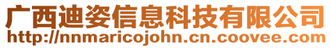 廣西迪姿信息科技有限公司