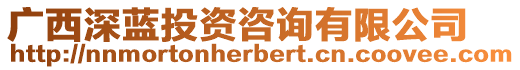 廣西深藍(lán)投資咨詢有限公司