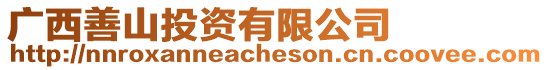 廣西善山投資有限公司