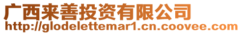 廣西來善投資有限公司