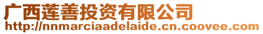 廣西蓮善投資有限公司
