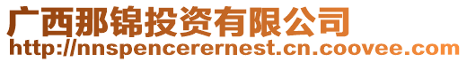 廣西那錦投資有限公司