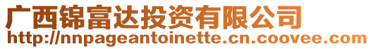 廣西錦富達投資有限公司