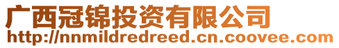 廣西冠錦投資有限公司