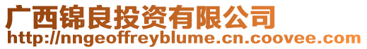 廣西錦良投資有限公司