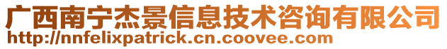 廣西南寧杰景信息技術(shù)咨詢有限公司