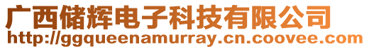 廣西儲輝電子科技有限公司