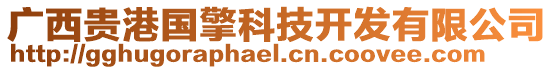 廣西貴港國(guó)擎科技開發(fā)有限公司