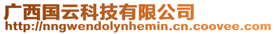 廣西國云科技有限公司