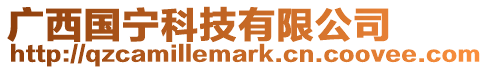 廣西國寧科技有限公司