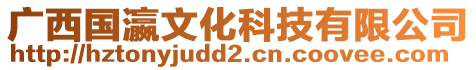 廣西國瀛文化科技有限公司