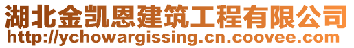 湖北金凱恩建筑工程有限公司