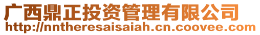 廣西鼎正投資管理有限公司