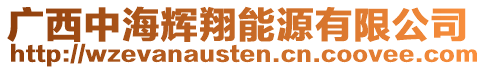 廣西中海輝翔能源有限公司