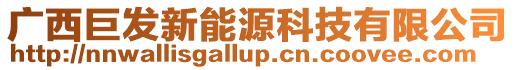 廣西巨發(fā)新能源科技有限公司