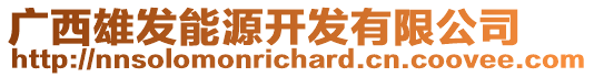 廣西雄發(fā)能源開發(fā)有限公司