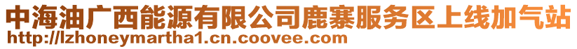 中海油廣西能源有限公司鹿寨服務區上線加氣站