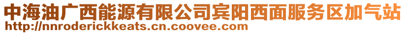 中海油廣西能源有限公司賓陽西面服務區(qū)加氣站