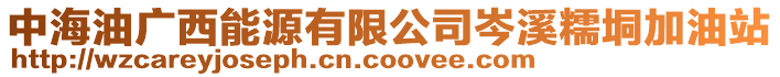 中海油廣西能源有限公司岑溪糯垌加油站