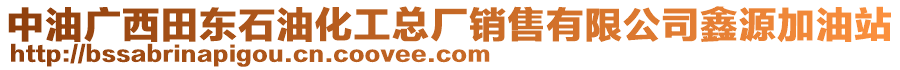 中油廣西田東石油化工總廠銷售有限公司鑫源加油站