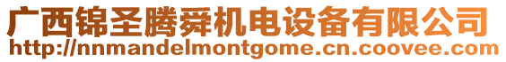 廣西錦圣騰舜機電設備有限公司